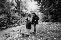 BrendaEdwardProposal-October2023-EmilySerrellPhotography-12
