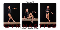 Charlottecollage copy 2