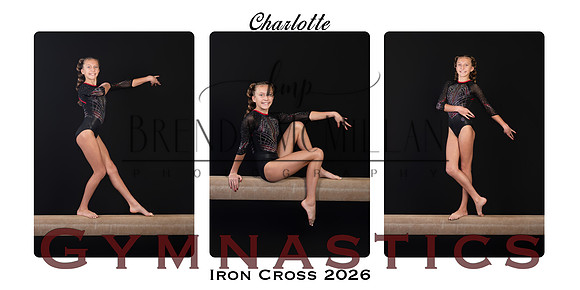 Charlottecollage copy 2