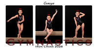Camryncollage copy 2