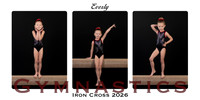 Everlycollage copy