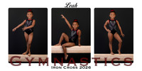 Leah collage copy