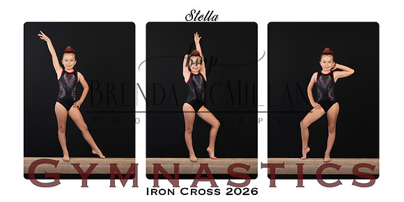 Stellacollage copy 2