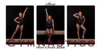 Collage ICG