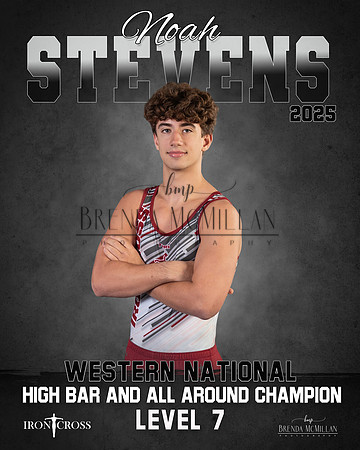 Noah banner copy 2