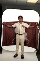 Baseball banners