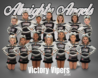 Vipers team photos