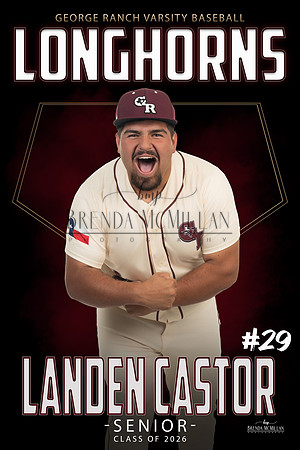 landen copy