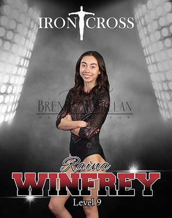 3x6 banner Raina Winfreycopy copy 2