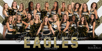 Briscoe banner