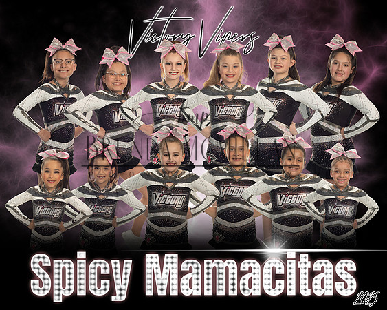 Spicy mama copyfinal 3 copy