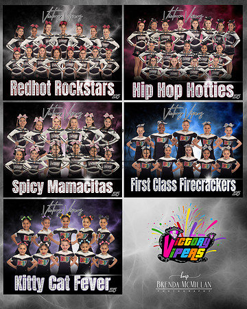 team banner copy