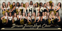Briscoe Banner