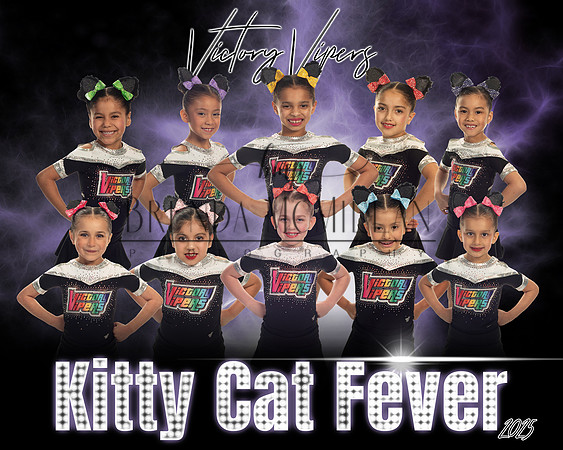 24x18 kitty kats copyfinal 5 copy